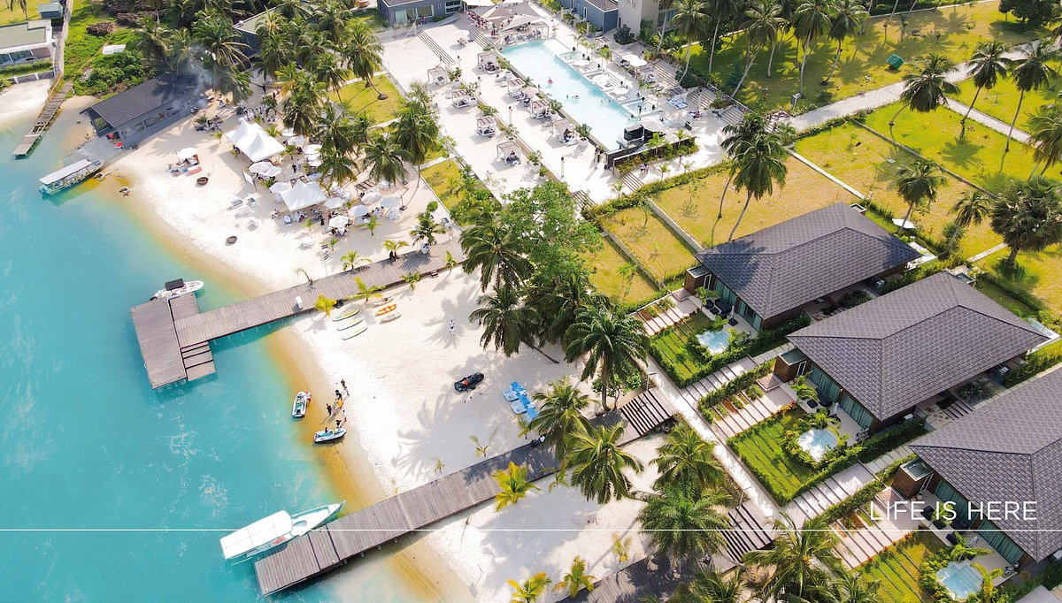 Paradis tropical et plages dorées